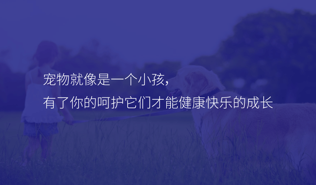 标志設計 logo設計